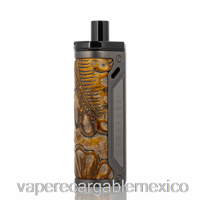 Vape Recargable Perdido Vape Thelema 80w Pod Mod Kit Bronce / Cuero Ukiran